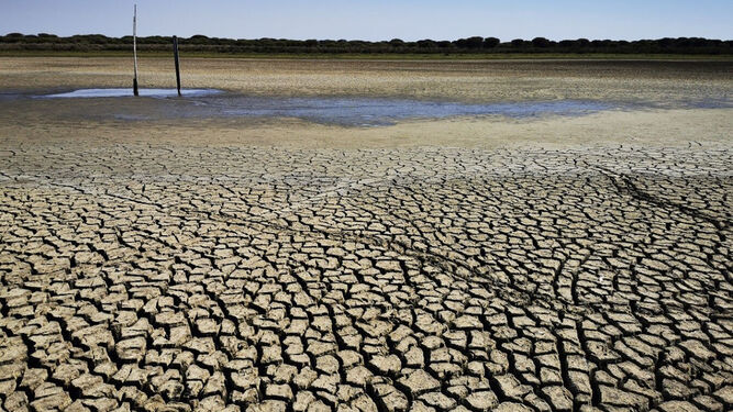 Giahsa y la MAS, junto a las organizaciones agrarias, reivindican más infraestructuras hidráulicas